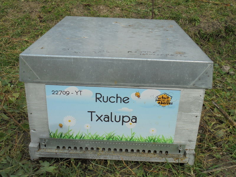 La ruche Txalupa