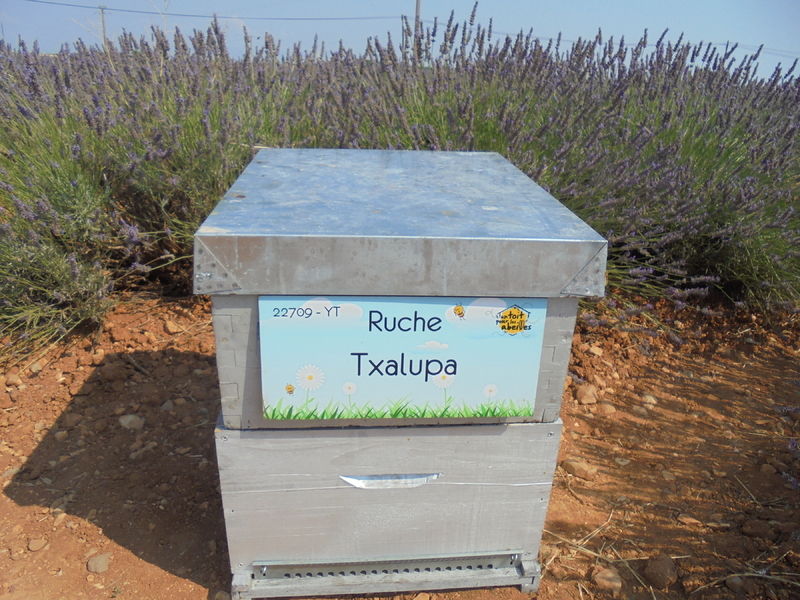 La ruche Txalupa