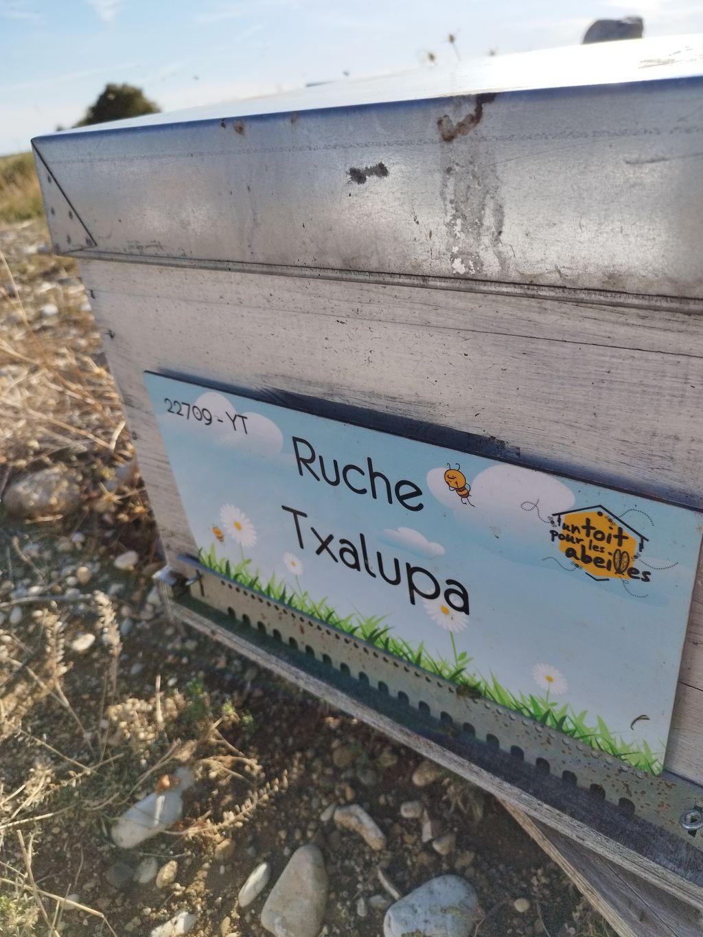 La ruche Txalupa