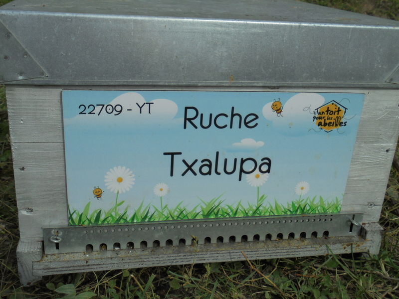 La ruche Txalupa