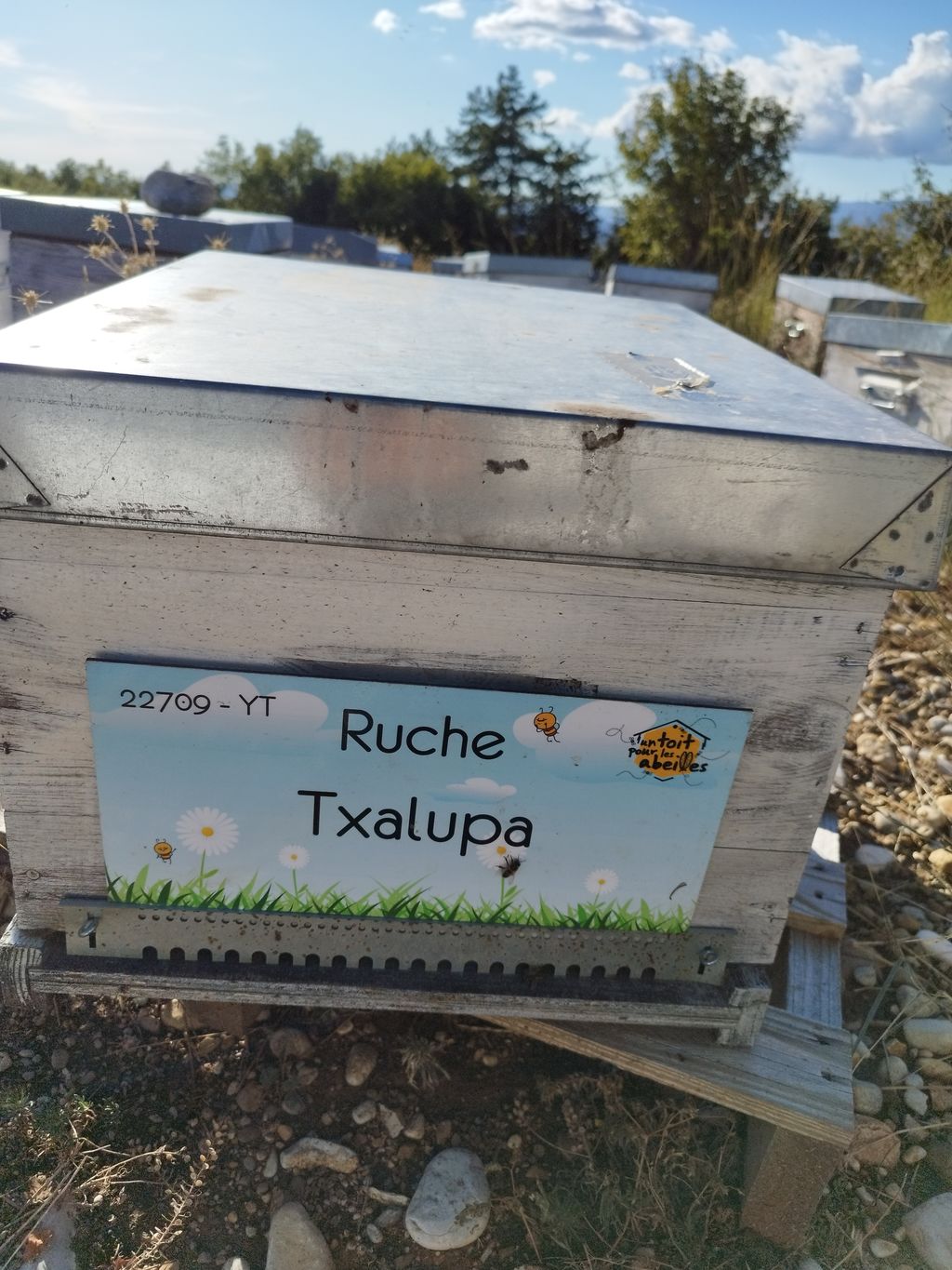 La ruche Txalupa
