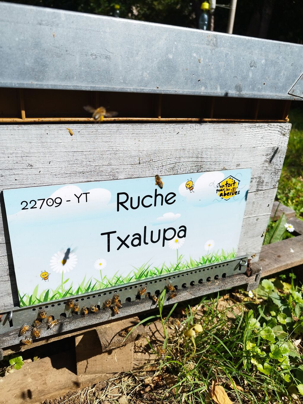 La ruche Txalupa