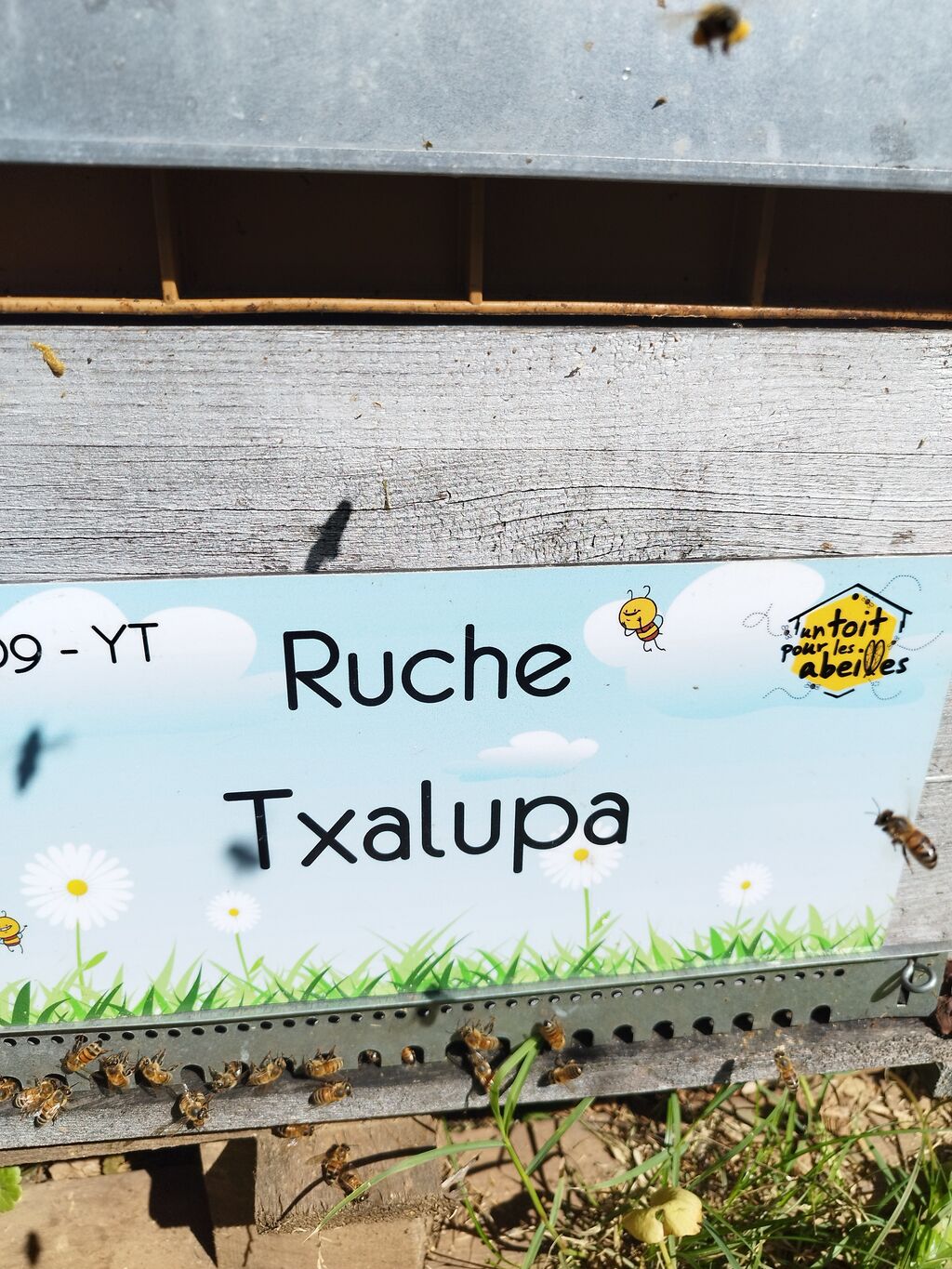 La ruche Txalupa