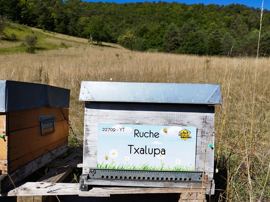 La ruche Txalupa