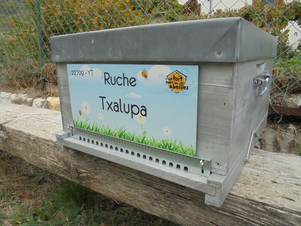La ruche Txalupa