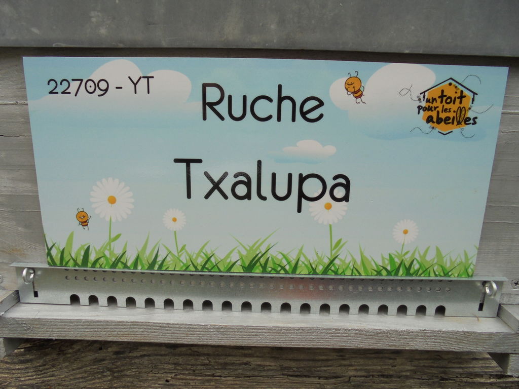 La ruche Txalupa
