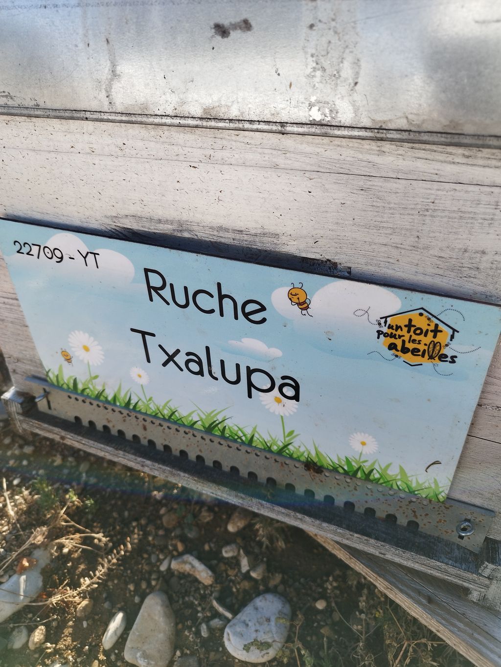 La ruche Txalupa