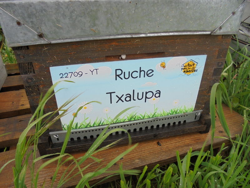 La ruche Txalupa