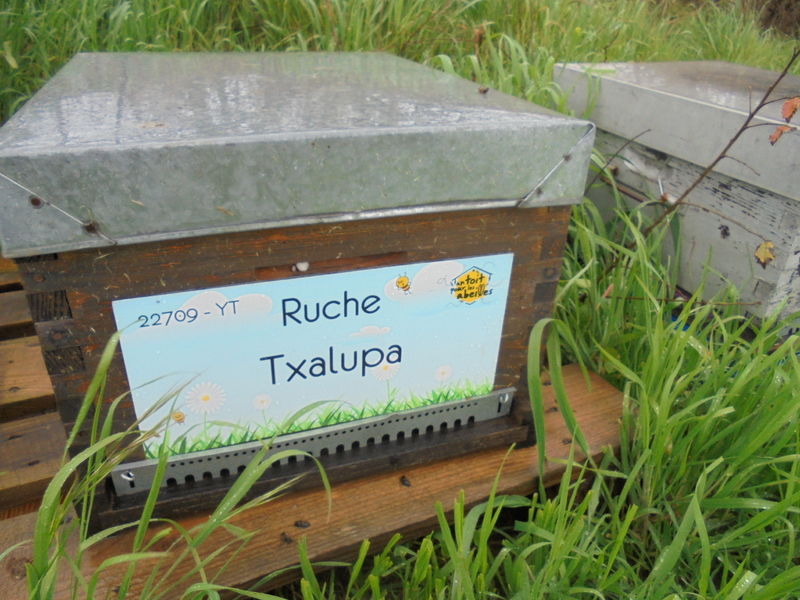 La ruche Txalupa