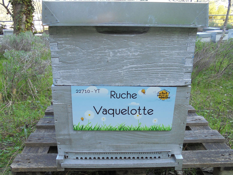 La ruche