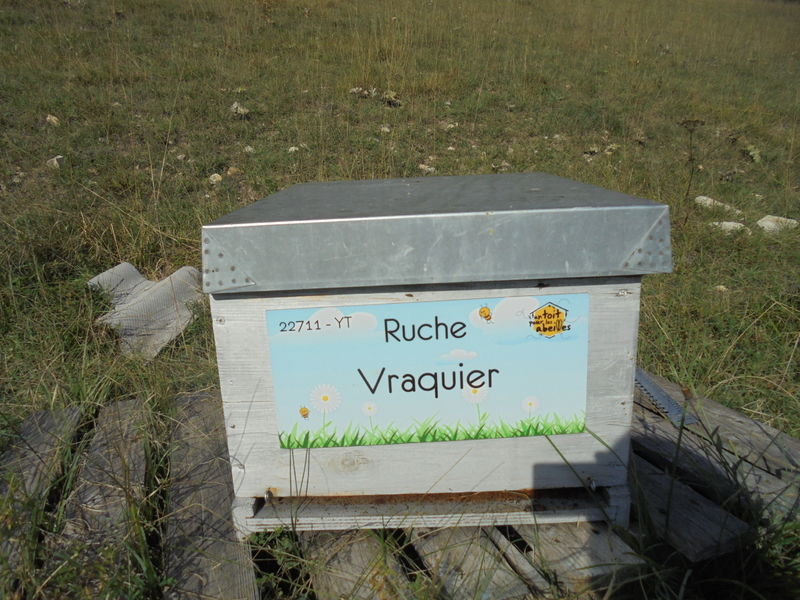La ruche Vraquier