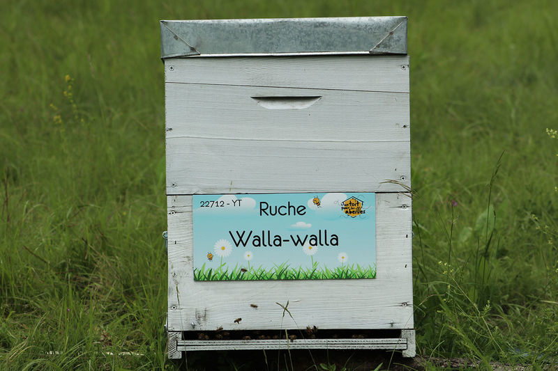 La ruche Walla-walla