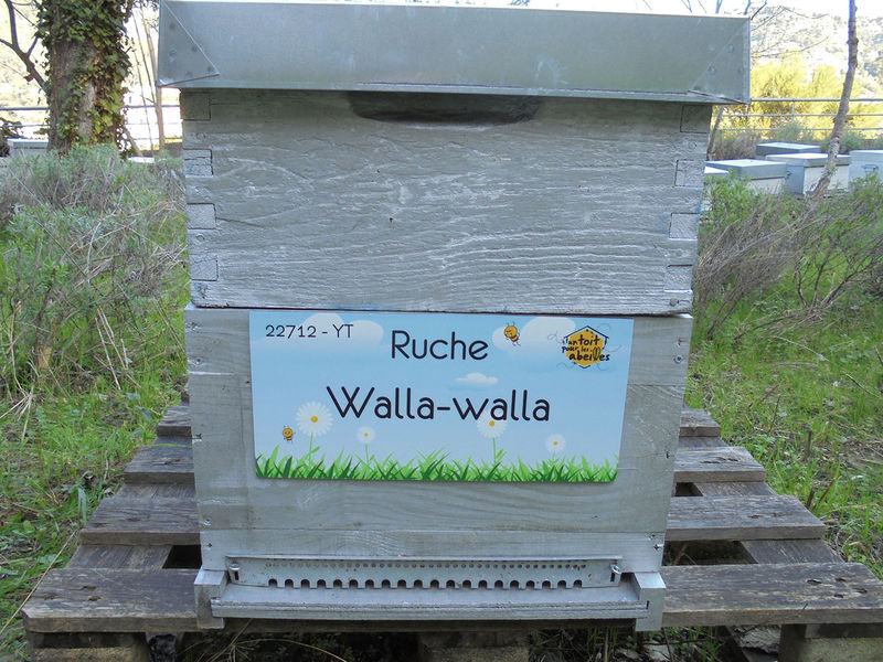 La ruche
