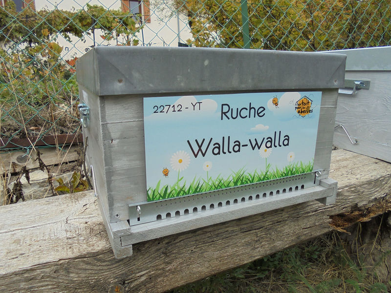 La ruche Walla-walla
