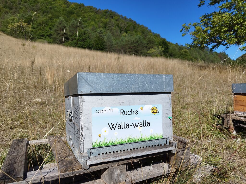 La ruche Walla-walla