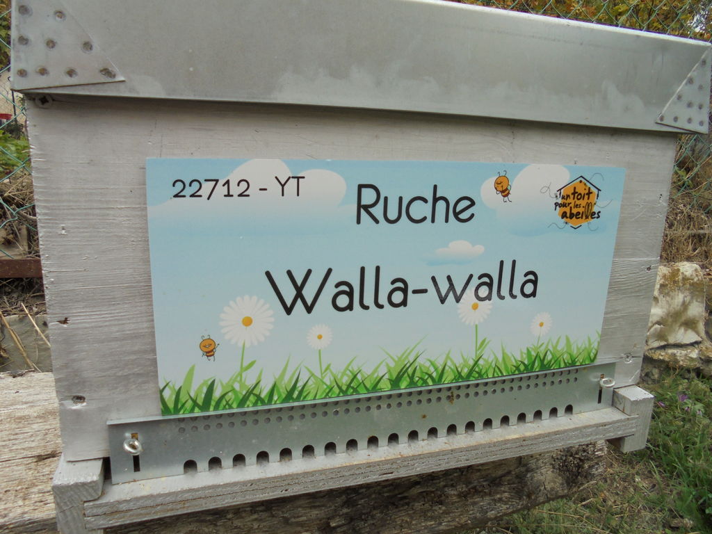 La ruche Walla-walla