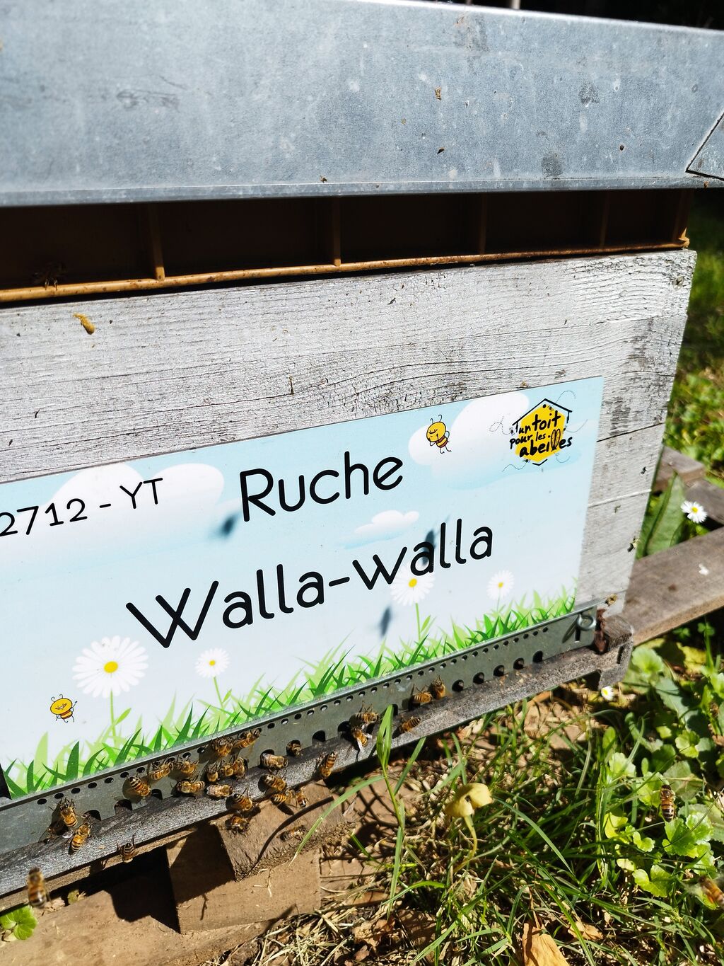 La ruche Walla-walla