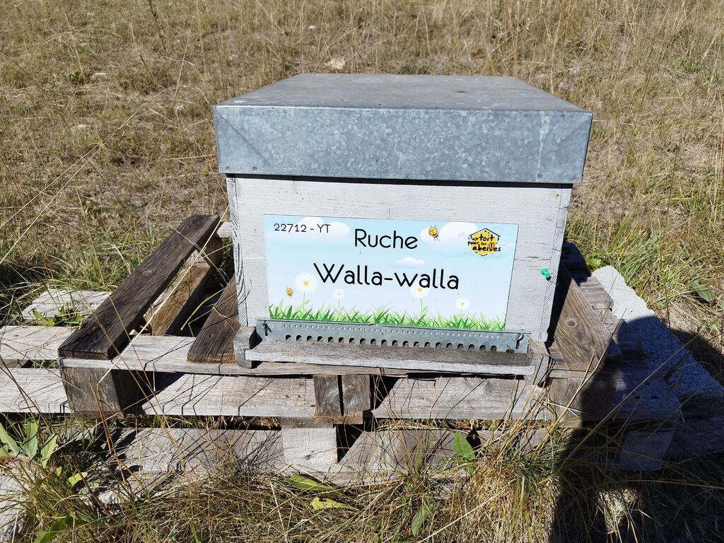 La ruche Walla-walla