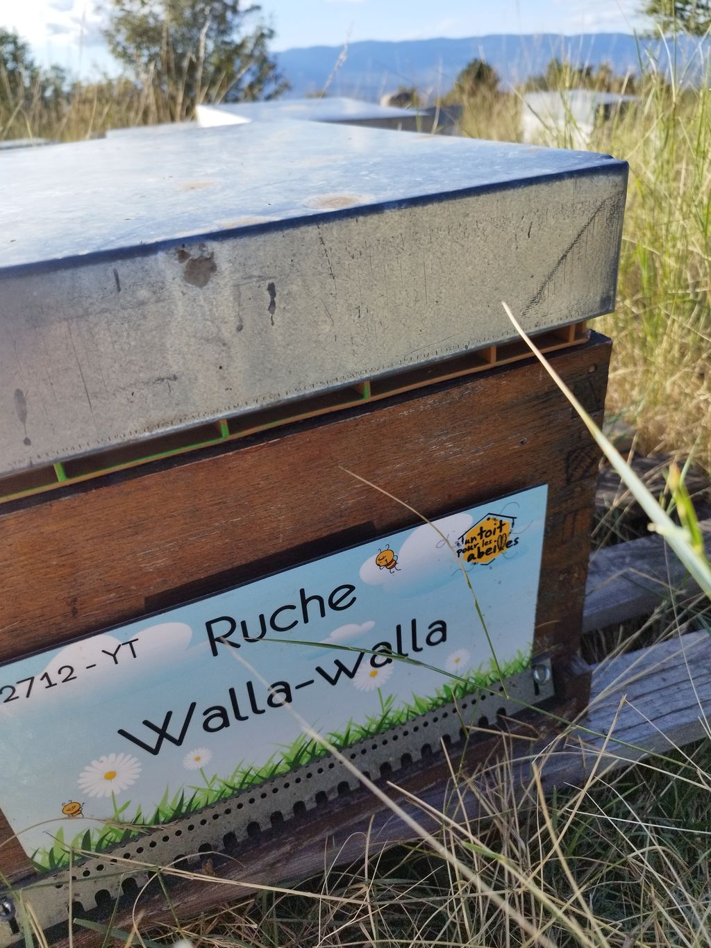 La ruche Walla-walla