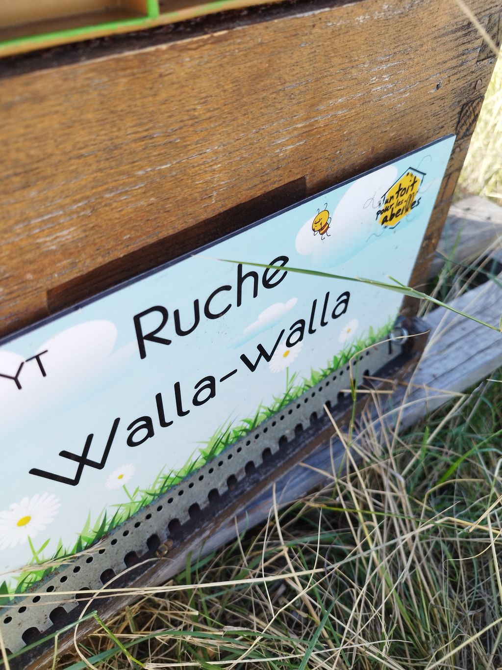 La ruche Walla-walla