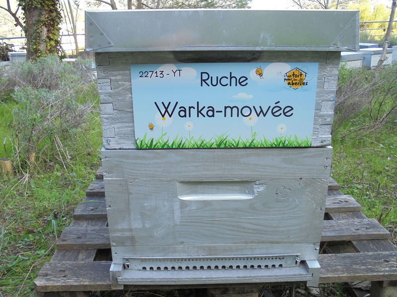 La ruche Warka-mowée