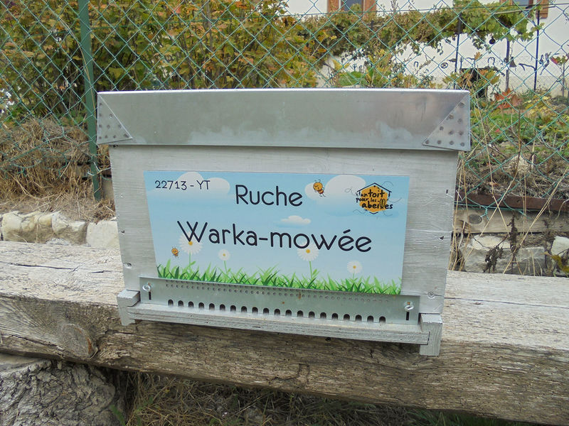 La ruche Warka-mowée