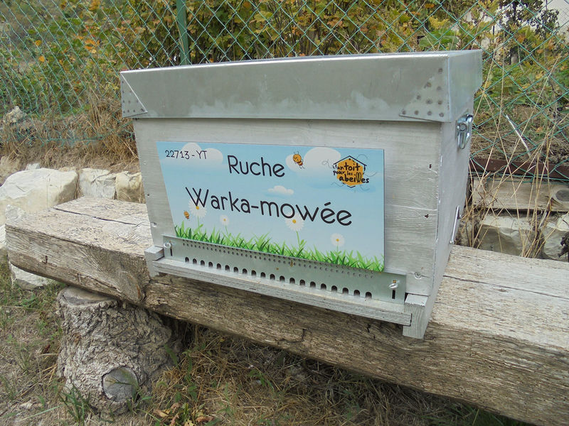 La ruche Warka-mowée