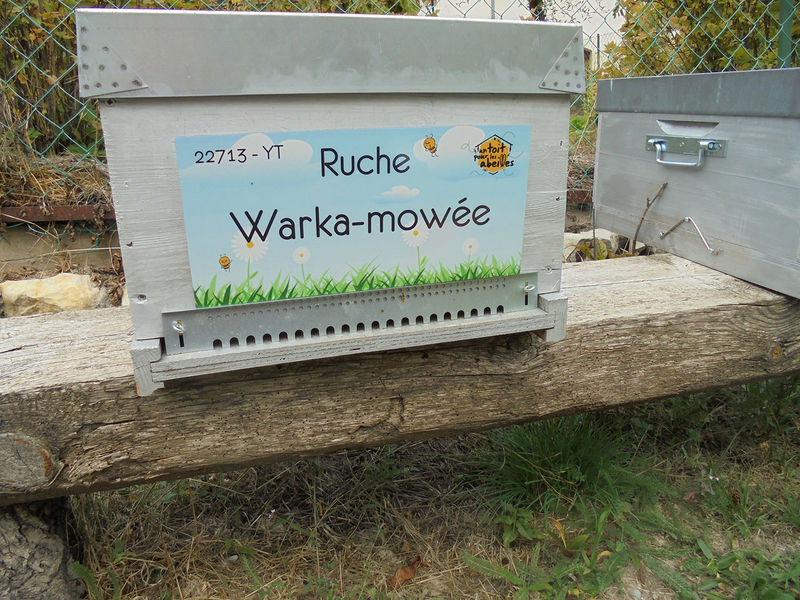 La ruche Warka-mowée