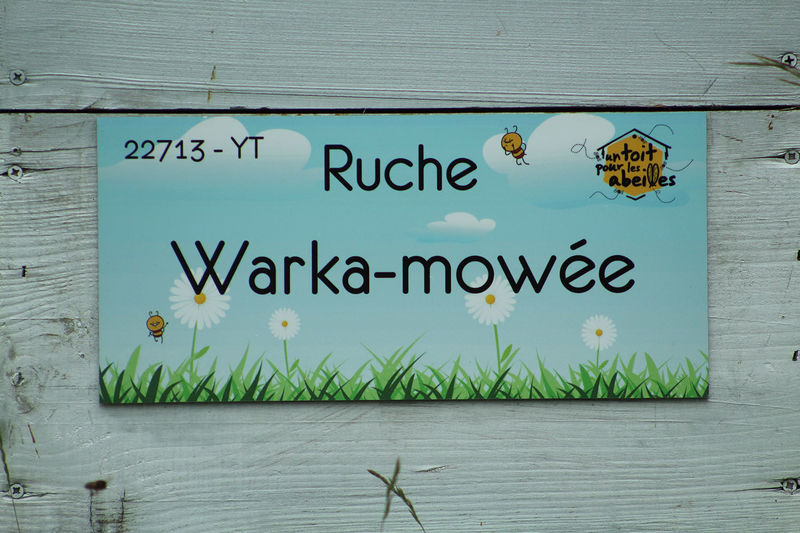La ruche Warka-mowée