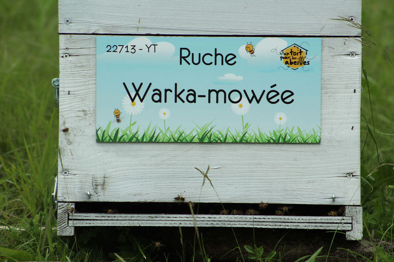 La ruche Warka-mowée
