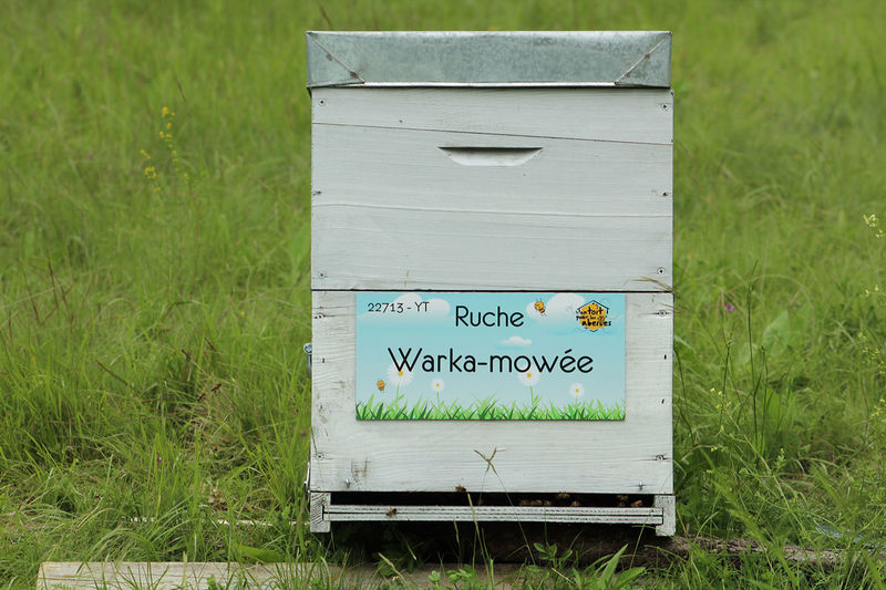 La ruche Warka-mowée