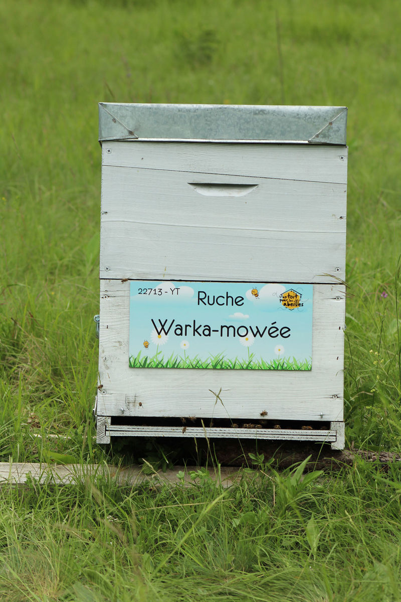 La ruche Warka-mowée
