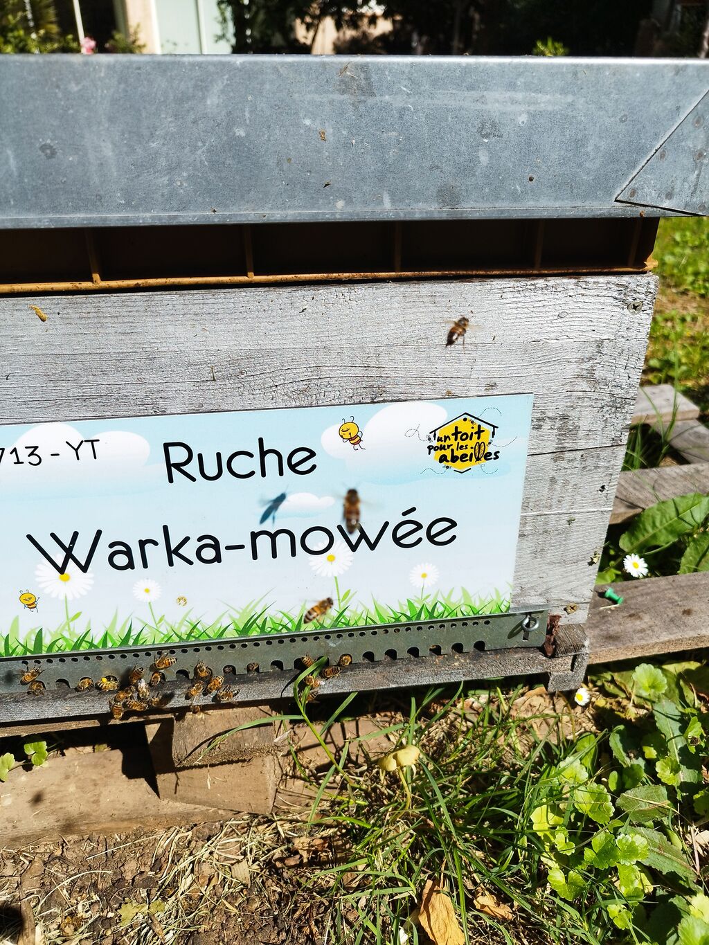 La ruche Warka-mowée