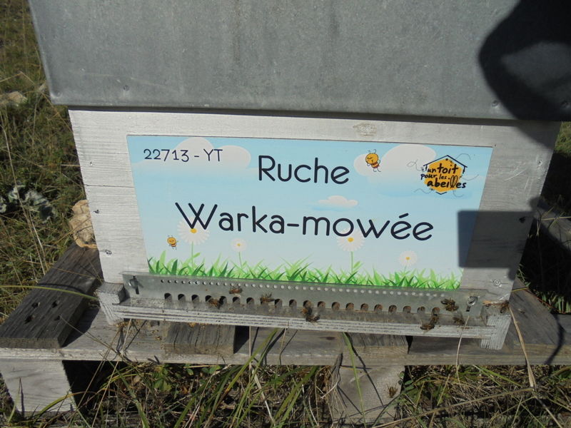 La ruche Warka-mowée