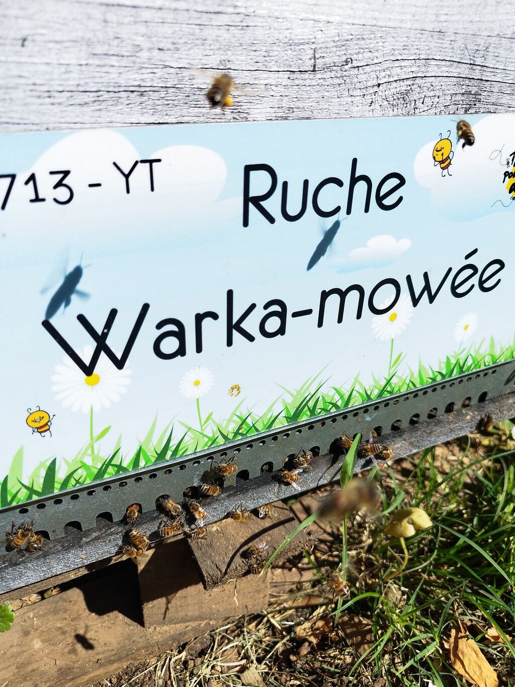 La ruche Warka-mowée