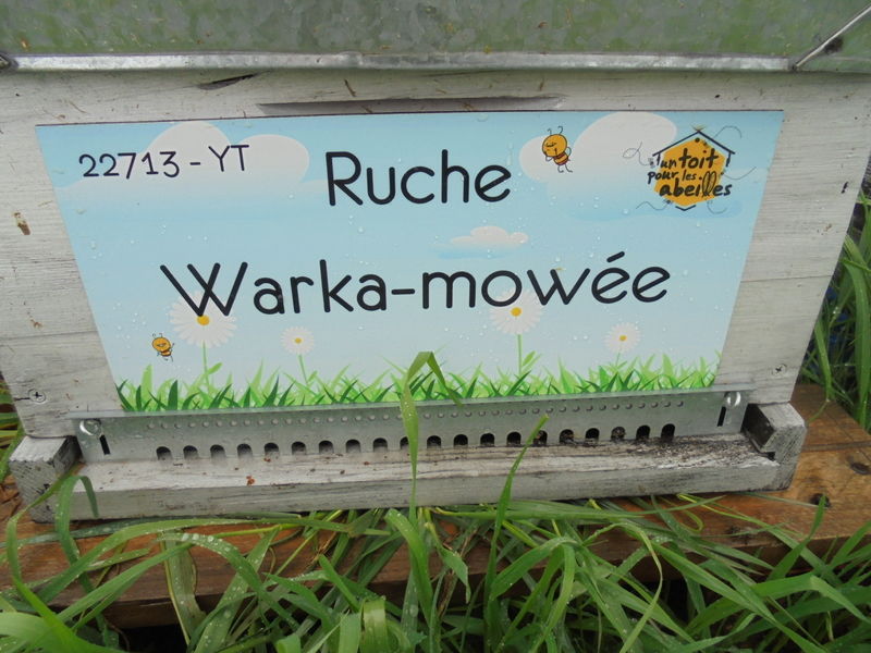 La ruche Warka-mowée