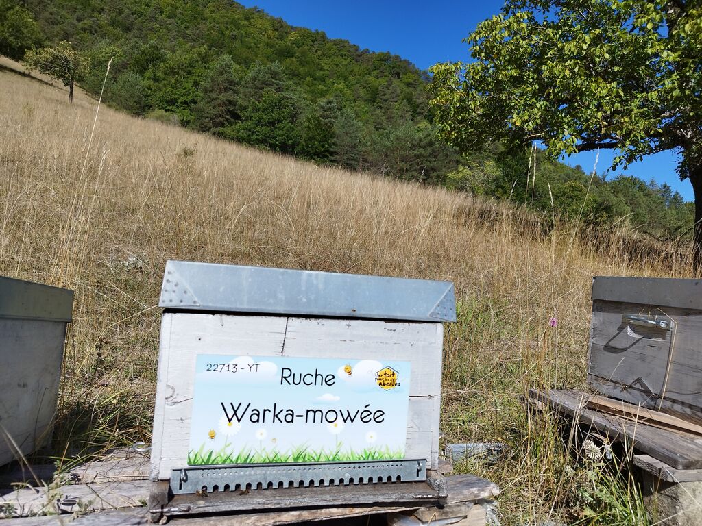 La ruche Warka-mowée