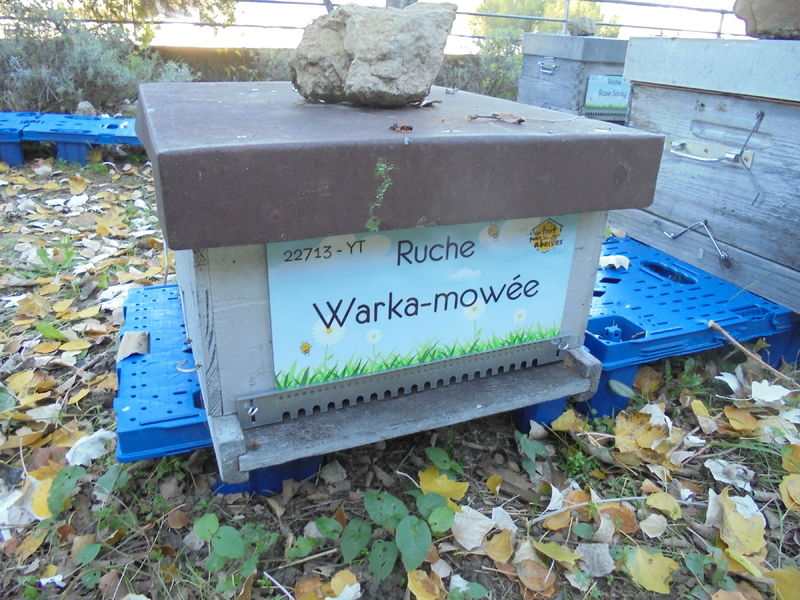 La ruche Warka-mowée