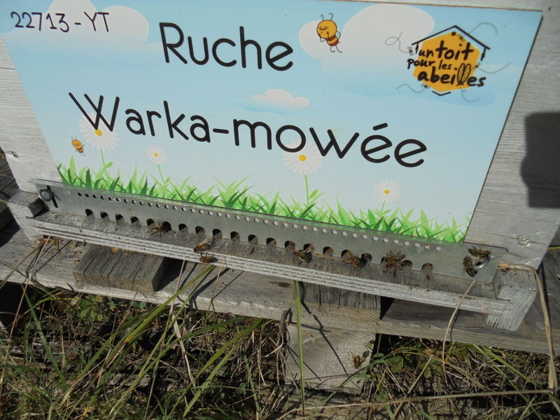 La ruche Warka-mowée