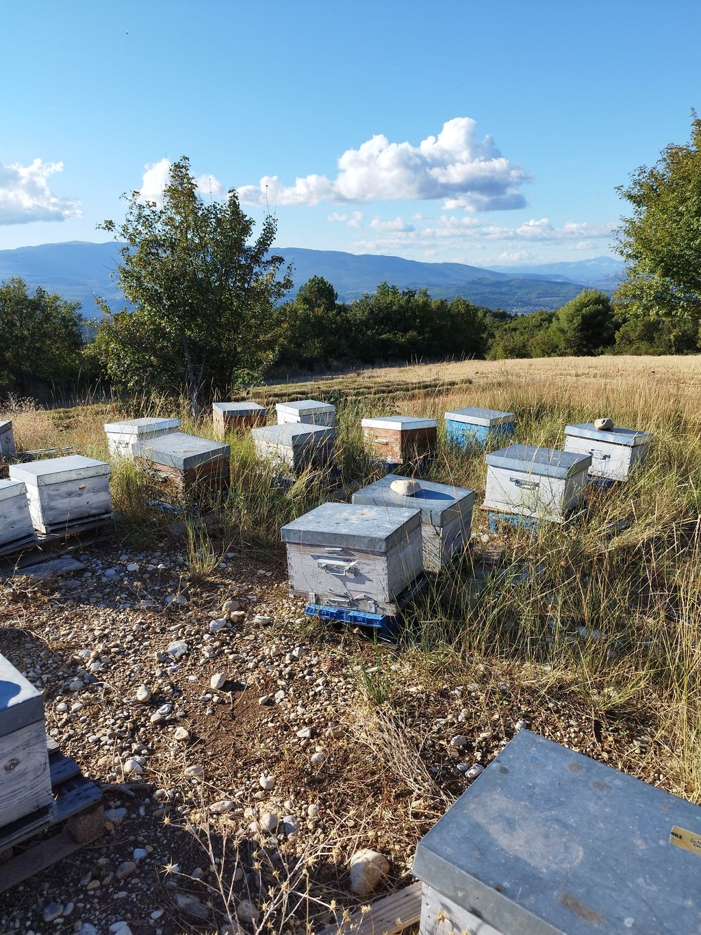 La ruche Warka-mowée