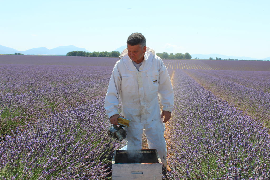 La ruche Warka-mowée