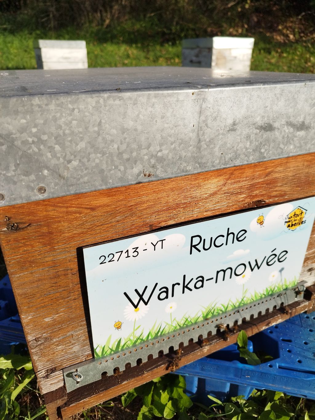 La ruche Warka-mowée