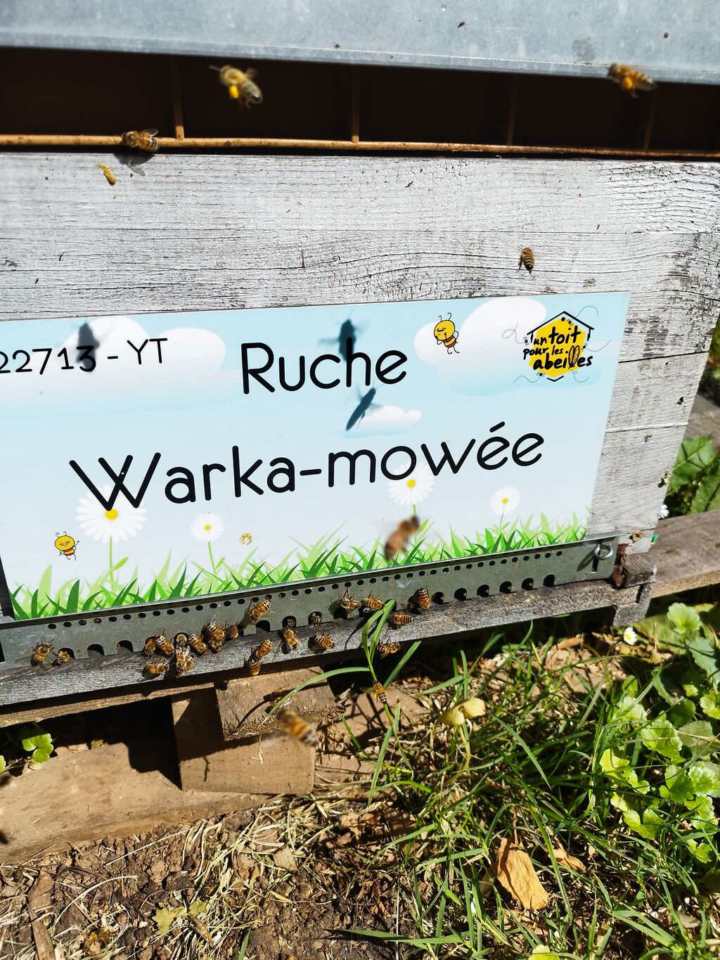 La ruche Warka-mowée