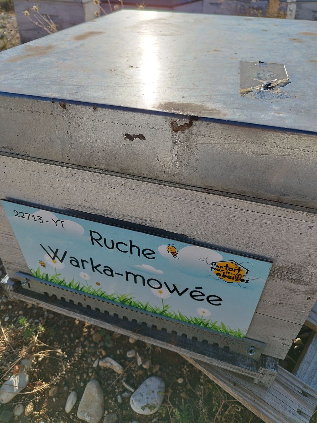 La ruche Warka-mowée