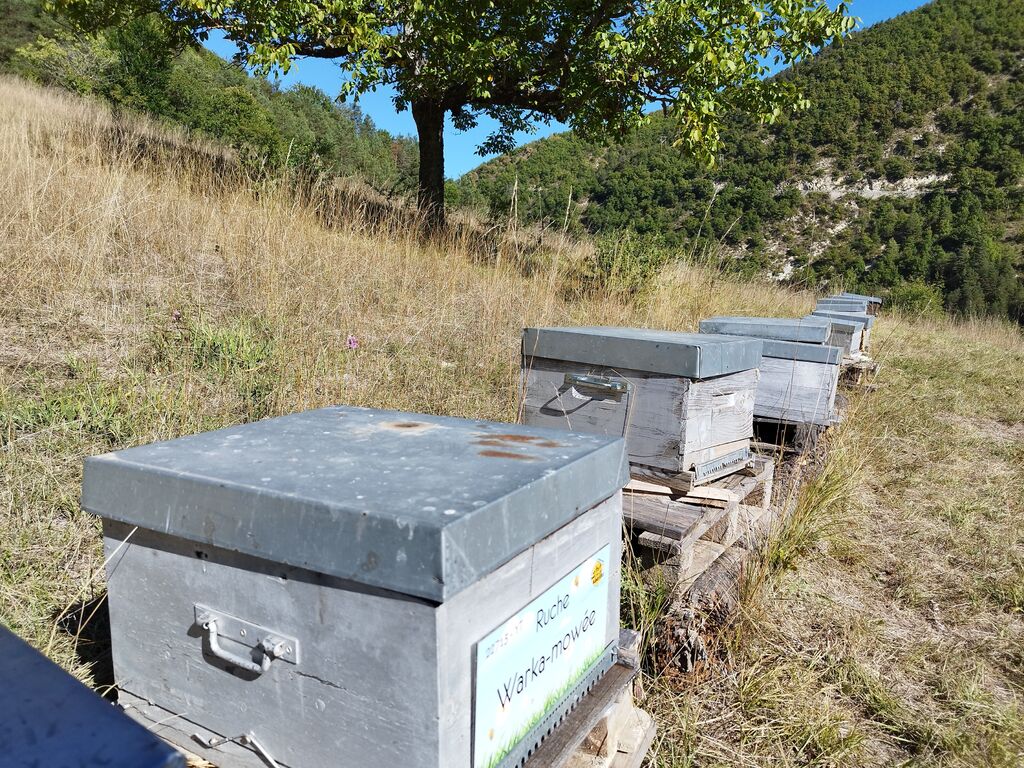 La ruche Warka-mowée