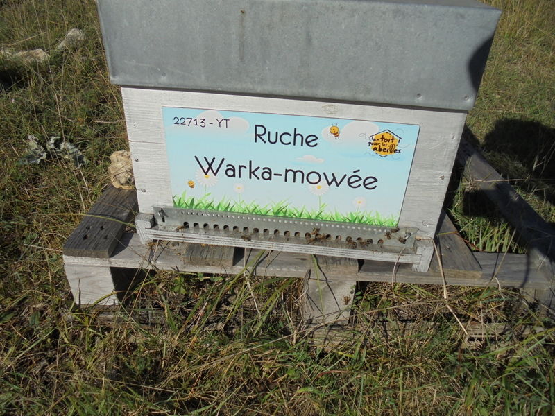 La ruche Warka-mowée