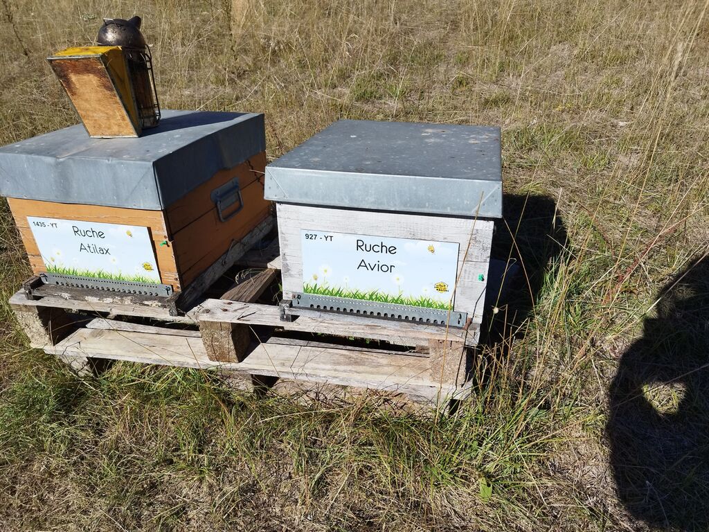 La ruche Warka-mowée