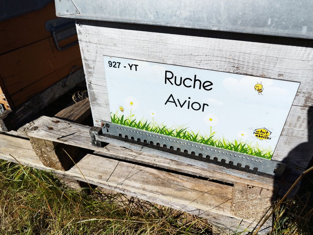 La ruche Warka-mowée