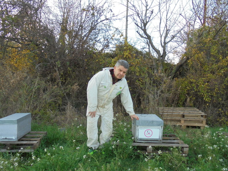 La ruche Warka-mowée