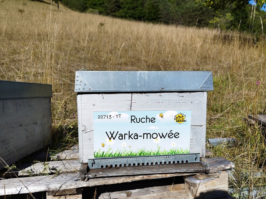 La ruche Warka-mowée
